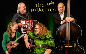 Eintrittskarte für Live-Konzert: Folk meets Wein